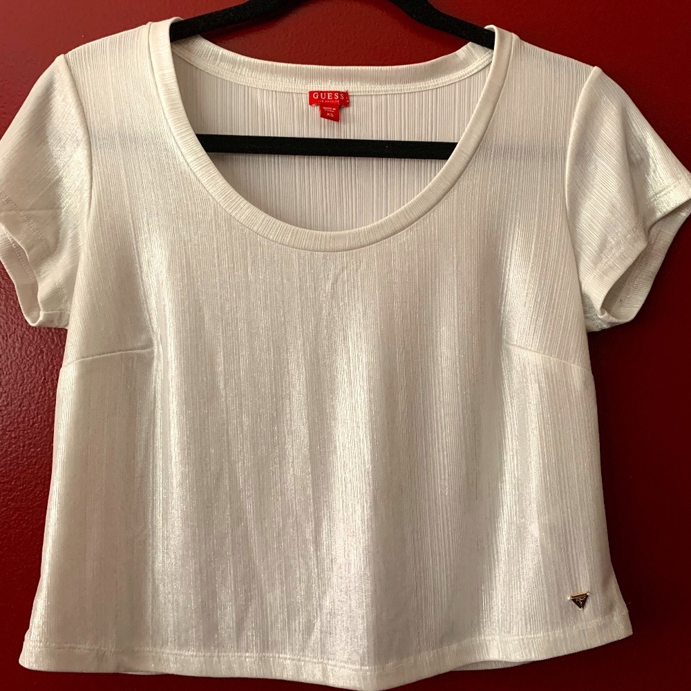 Metallic Silver Crop Blouse